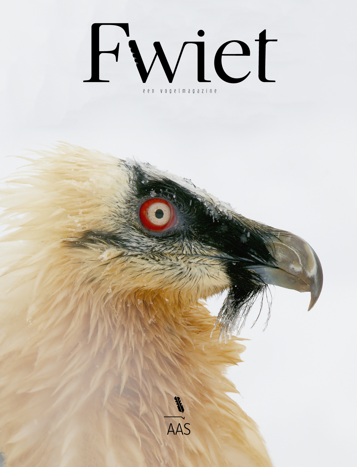 Fwiet 6