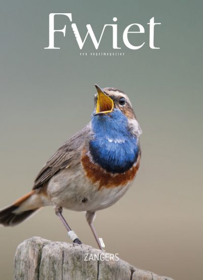Cover van het voglemagazine Fwiet nummer 3. Dit nummer behandelt zangvogels.